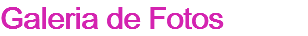Galeria de Fotos